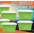New Organizer Storage Box