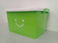 New Organizer Storage Box